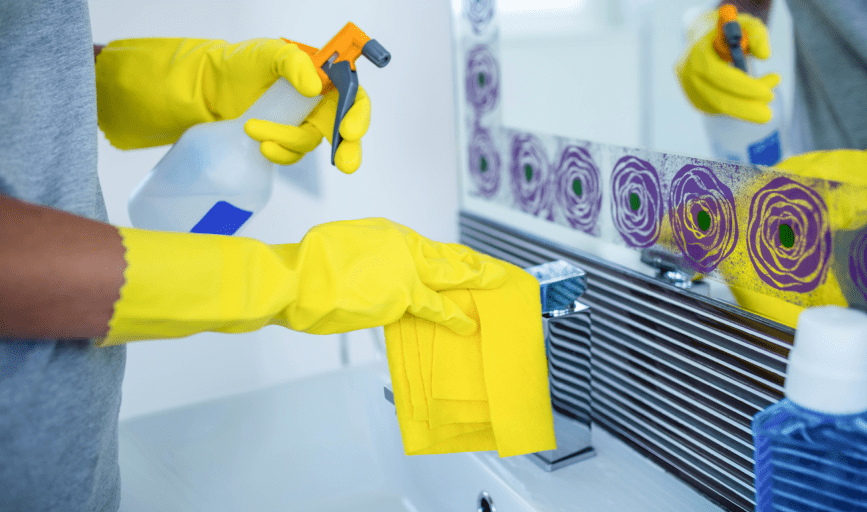 Amera Clean Services